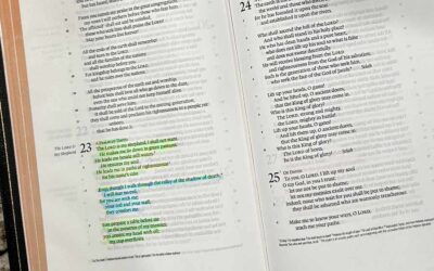 Bible Verses for Strength When You Feel Overwhelmed