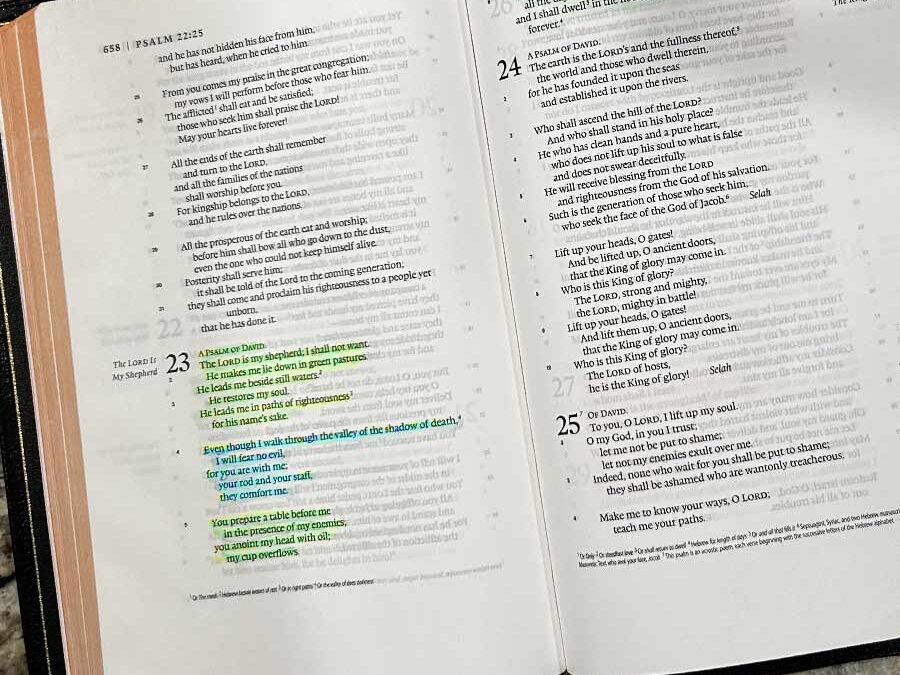 Bible Verses for Strength When You Feel Overwhelmed