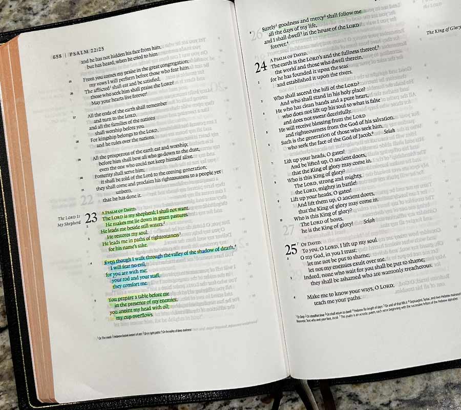 Bible verses for strength when overwhelmed Psalm 23